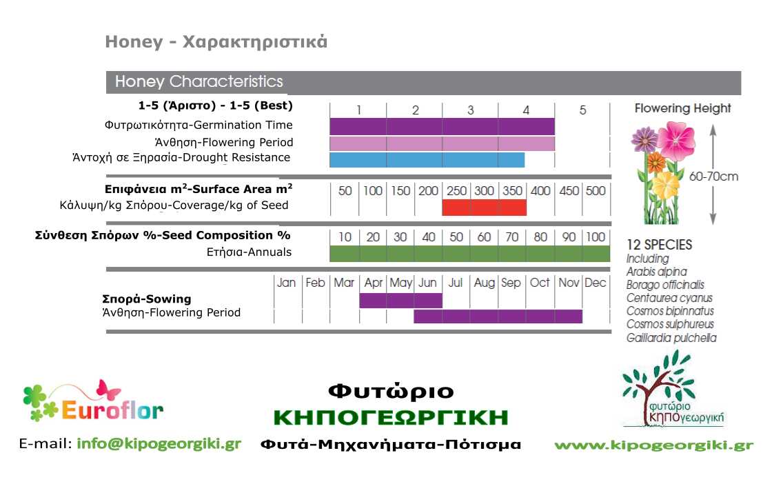 Honey 1kg Σπόροι Μείγμα για Αστικά Λιβάδια EUROFLOR